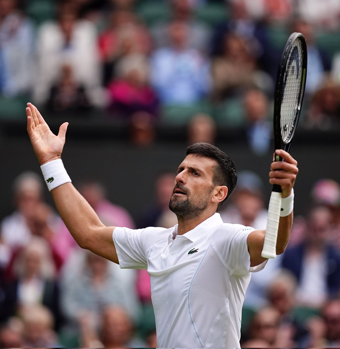 WeAreTennisFR's tweet photo. 10ÈME FINALE À WIMBLEDON 🖐️🖐️

Novak Djokovic maîtrise Lorenzo Musetti en 3 sets 6-4 7-6 6-4 pour retrouver la finale de Wimbledon, un peu plus d'un mois après sa blessure à Roland-Garros ! Énorme. 

Djokovic retrouvera Alcaraz pour un remake de l'an dernier 🔥 https://t.co/l9jwYGqorg