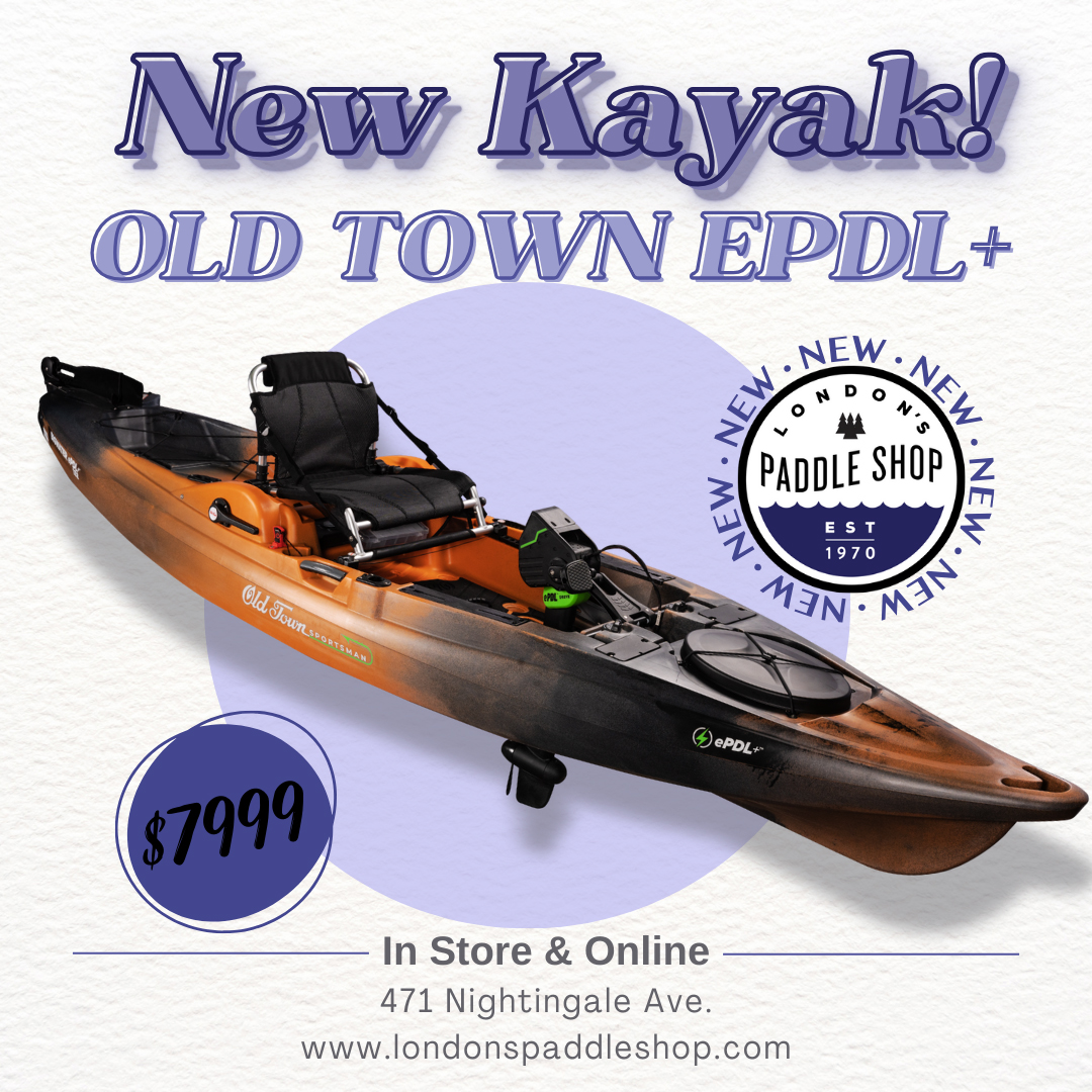 London's Paddle Shop tweet media