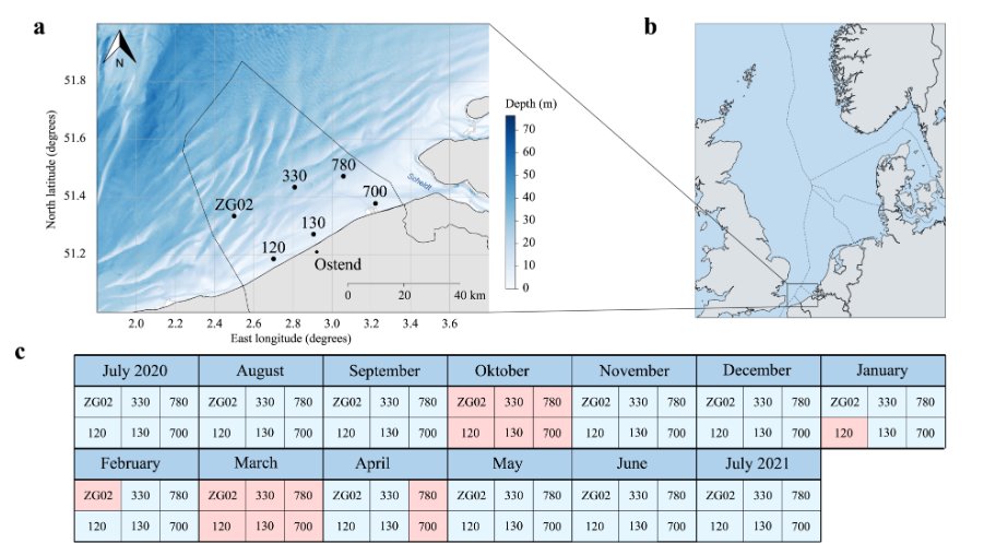 mBio (@mbiojournal) on Twitter photo Discover the seasonal dance of marine plankton! 🦠🧬Find out how dinoflagellates, Phaeocystis, and diatoms shape the North Sea's eukaryotic microbiome across seasons🌊 #mBio <a href="/michielperneel/">Michiel Perneel</a> <a href="/VLIZnews/">Flanders Marine Institute - VLIZ</a> <a href="/PascalHablutzel/">Pascal Hablützel</a> <a href="/MaereLab/">Steven Maere</a> journals.asm.org/doi/10.1128/mb… Discover the seasonal dance of marine plankton! 🦠🧬Find out how dinoflagellates, Phaeocystis, and diatoms shape the North Sea's eukaryotic microbiome across seasons🌊 #mBio <a href="/michielperneel/">Michiel Perneel</a> <a href="/VLIZnews/">Flanders Marine Institute - VLIZ</a> <a href="/PascalHablutzel/">Pascal Hablützel</a> <a href="/MaereLab/">Steven Maere</a> journals.asm.org/doi/10.1128/mb…