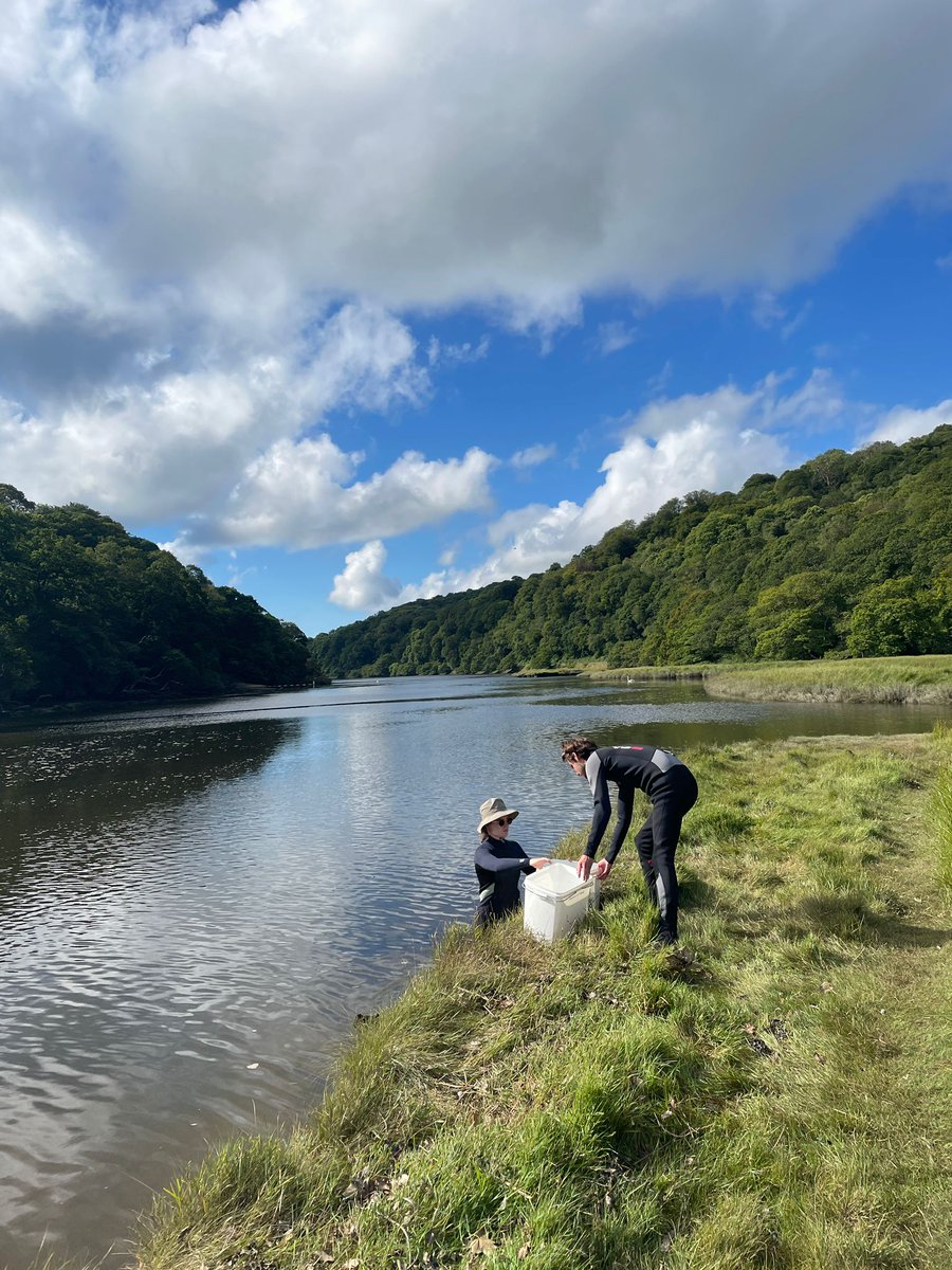 _RachelTurnbull's tweet photo. Bass sampling expedition day 2 @PlymUni! More good weather, and the first #seabass (plus plenty of sandeels and flatties for good luck)! #FHRU #plyMBIO https://t.co/sqEtaGvfko