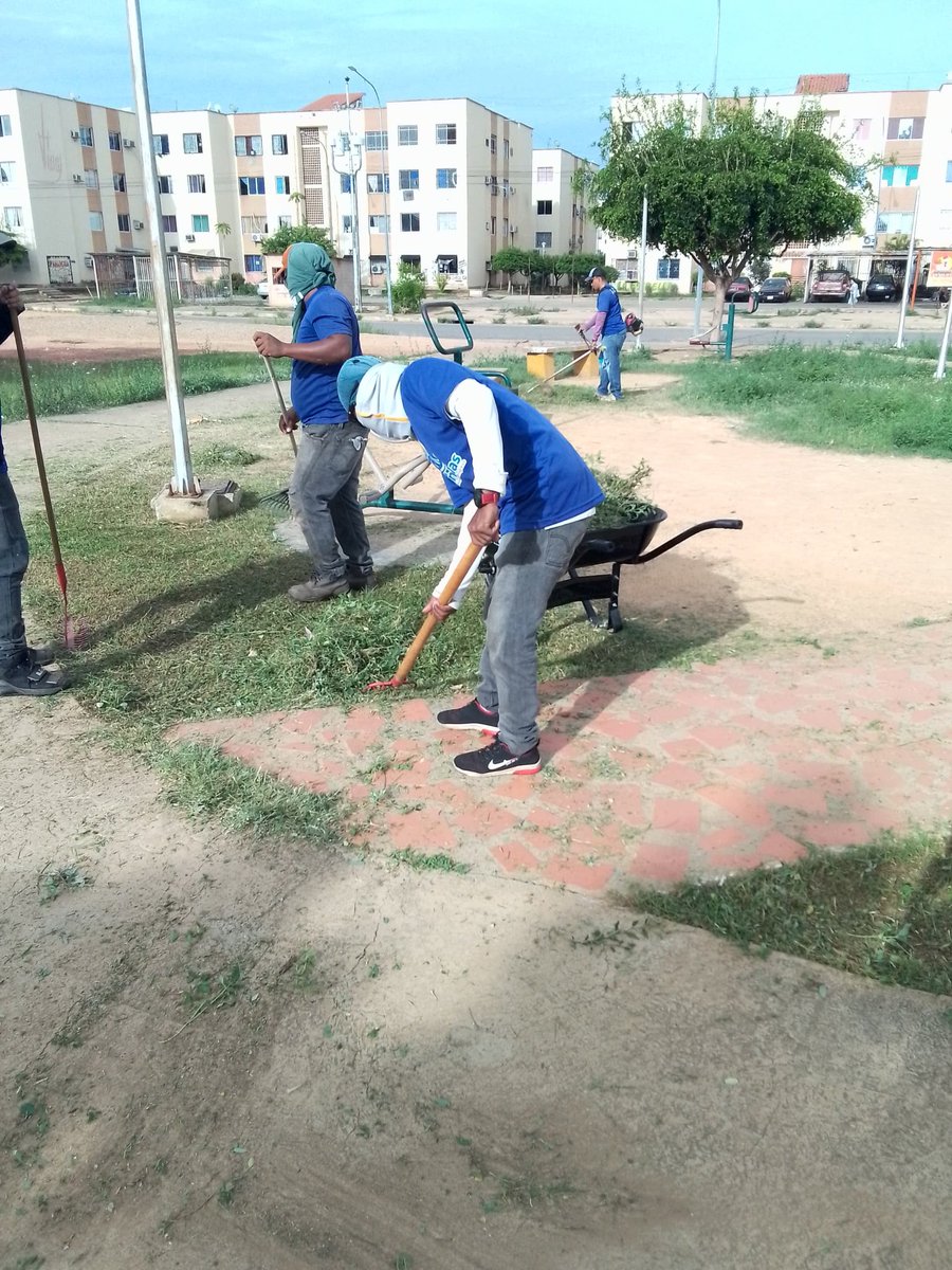 Consciente de los beneficios que aporta a la salud la actividad al aire libre, el alcalde José Mosquera realizó este #12Jul, a través de Sedemaul, una jornada de limpieza en el parque del urbanismo Fabricio Ojeda, ubicado en la avenida 27 de febrero, parroquia El Danto.
#parque