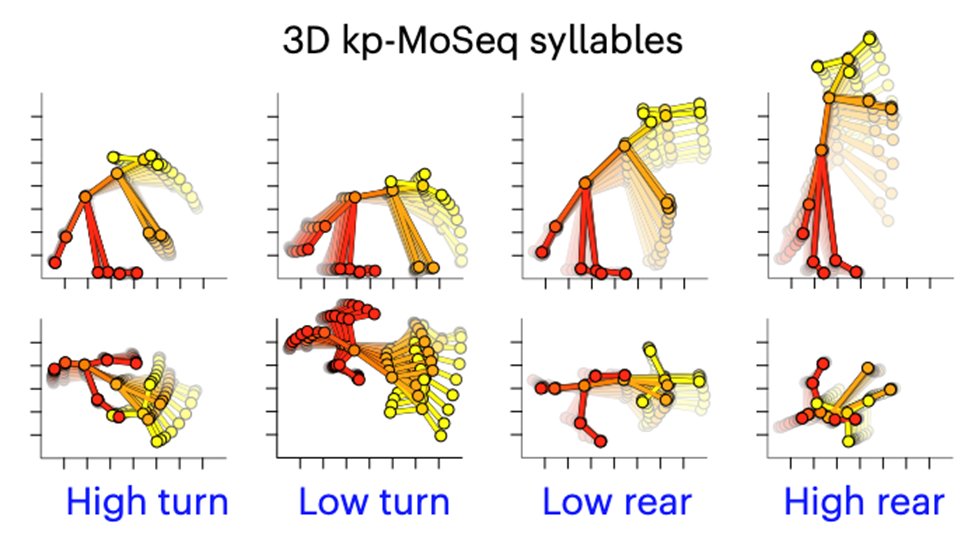 naturemethods's tweet image. Keypoint-MoSeq from the @Datta_lab is an unsupervised behavior segmentation algorithm that extracts behavioral modules from keypoint tracking data acquired with diverse algorithms, as demonstrated on data from mice, rats and fruit flies. (1/2)