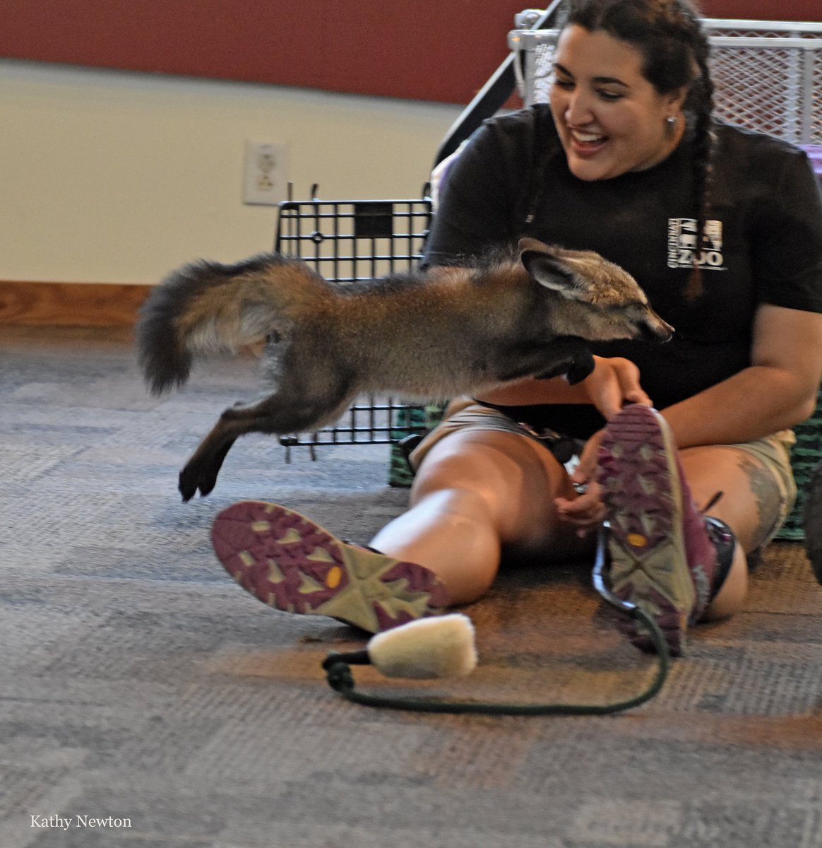 Cincinnati Zoo tweet media