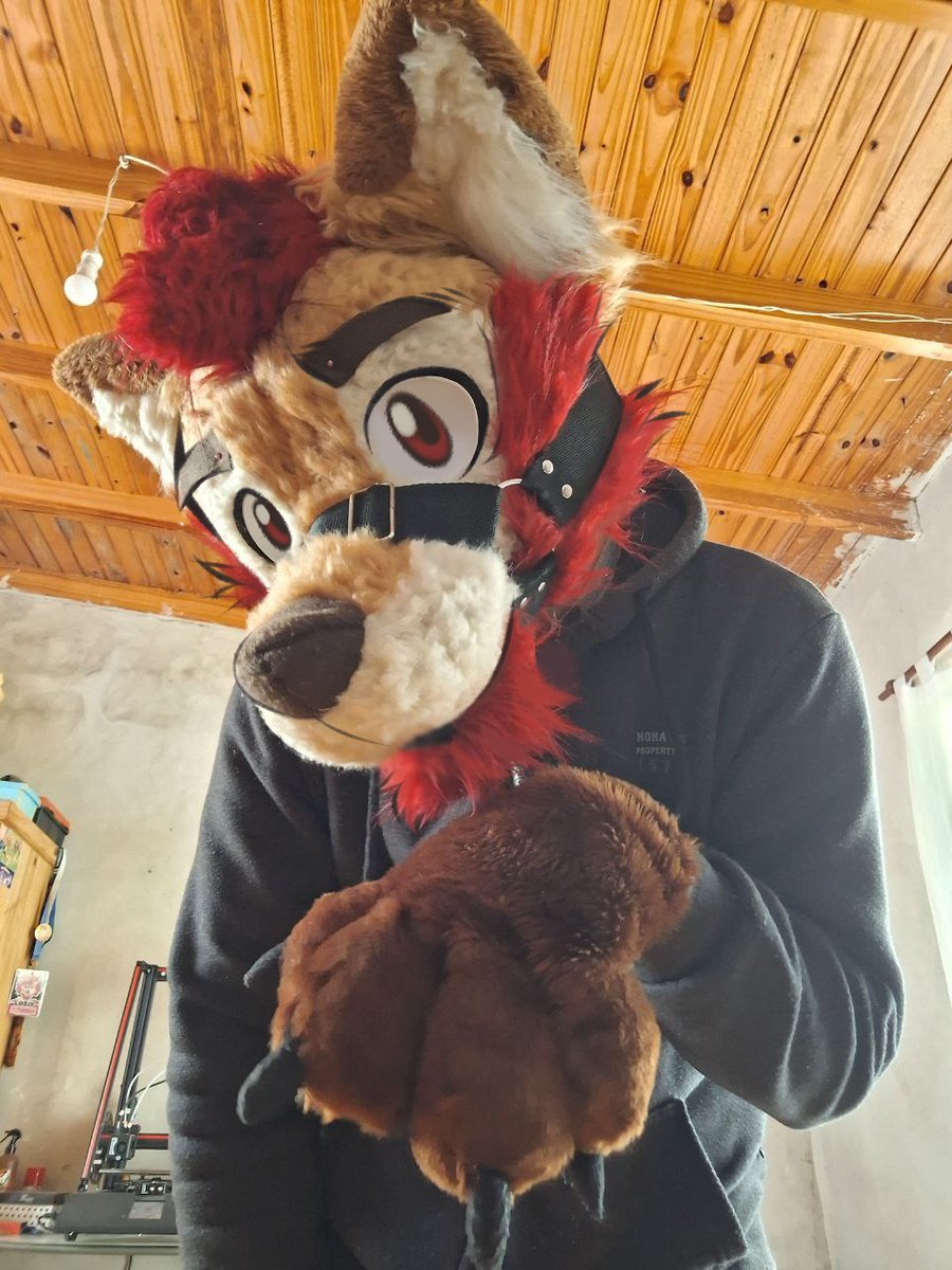 Trying this harness made by <a href="/CraftyMike_fur/">Crafty Mike - Coms Closed</a> I think it looks cute. Happy #FursuitFriday! [1/2] 🦊🌵🧡