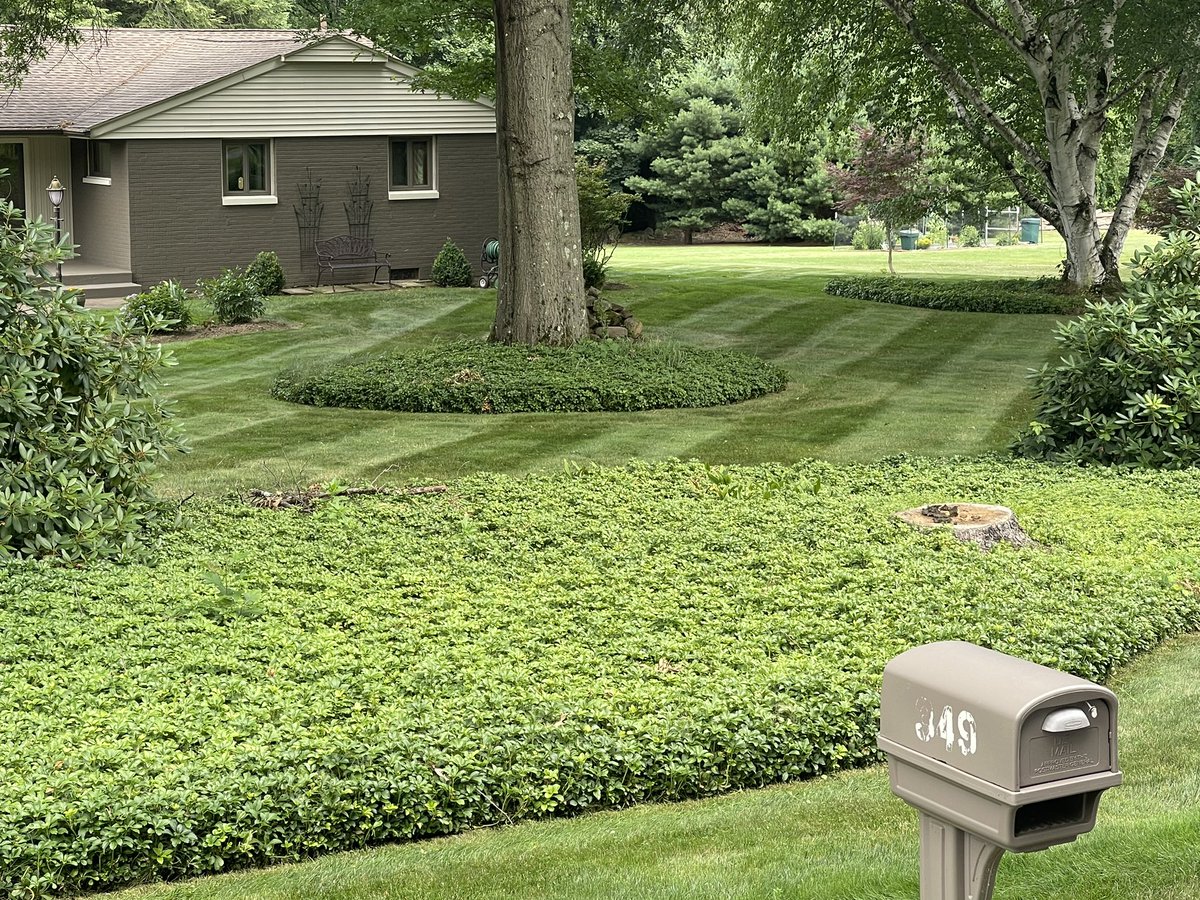 jrogproman's tweet image. Yards are looking damn good if I don’t say so myself 👊🏻#Wright