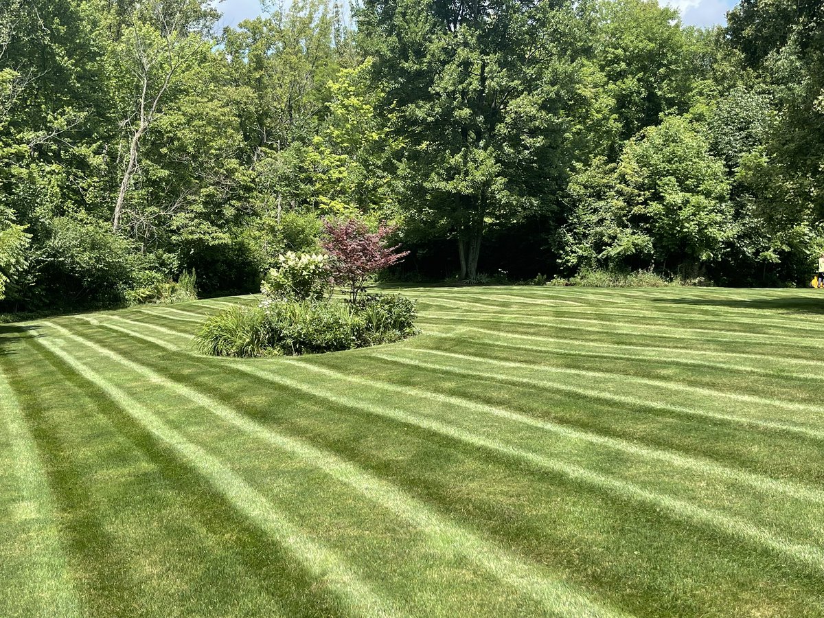 jrogproman's tweet image. Yards are looking damn good if I don’t say so myself 👊🏻#Wright