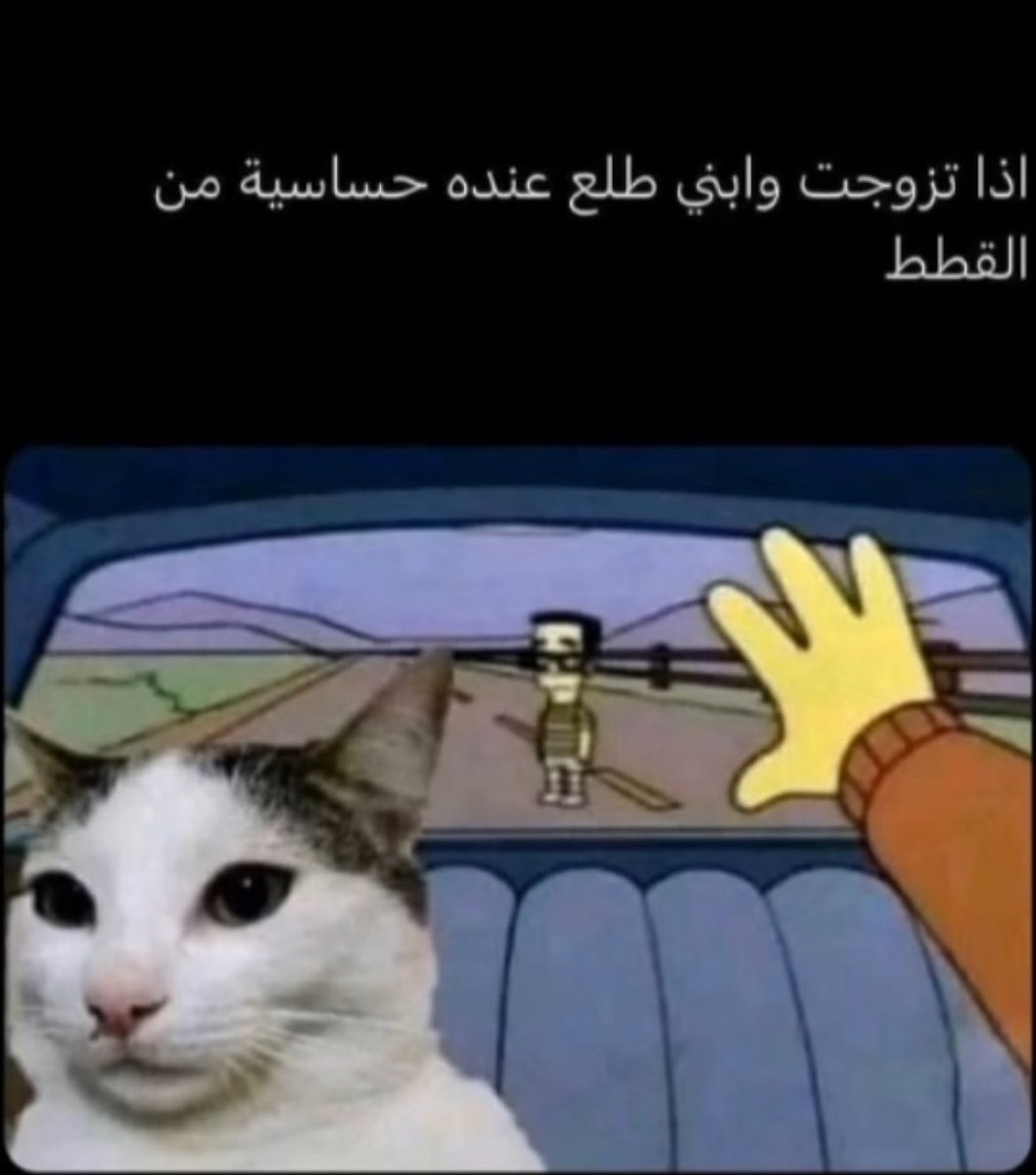 Elden Scarlet (@iscarlettft) on Twitter photo 