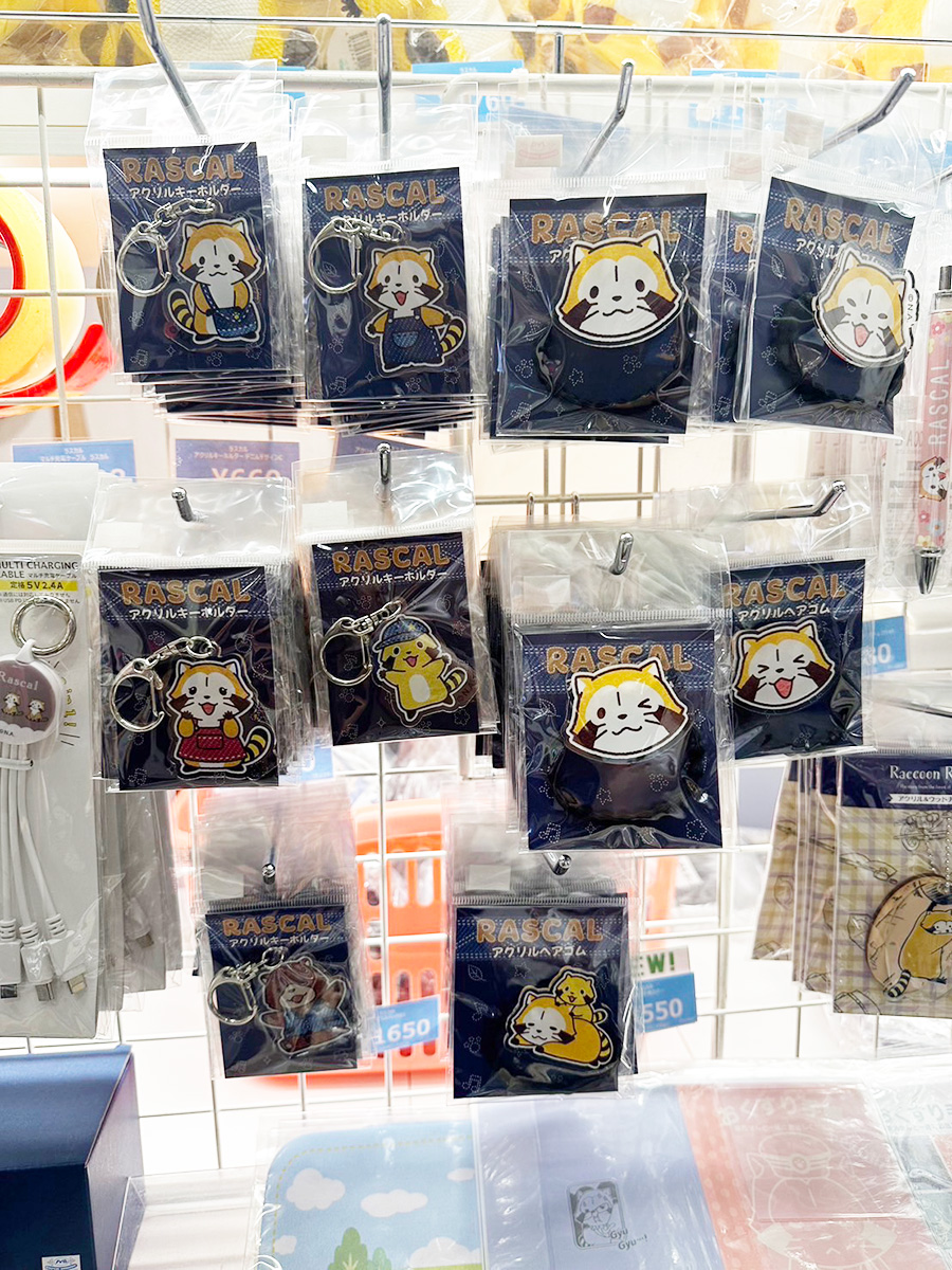 Rascal_tweet's tweet image. 期間限定店舗「らすかるすてーしょん」が、東京駅のキャラクターストリートにて開催中！

三連休の間にぜひ遊びに来てミャ🎵(◆'∇'◆)/

araiguma-rascal.com/news_event/202…
#ラスカル  #ラスカルショップ