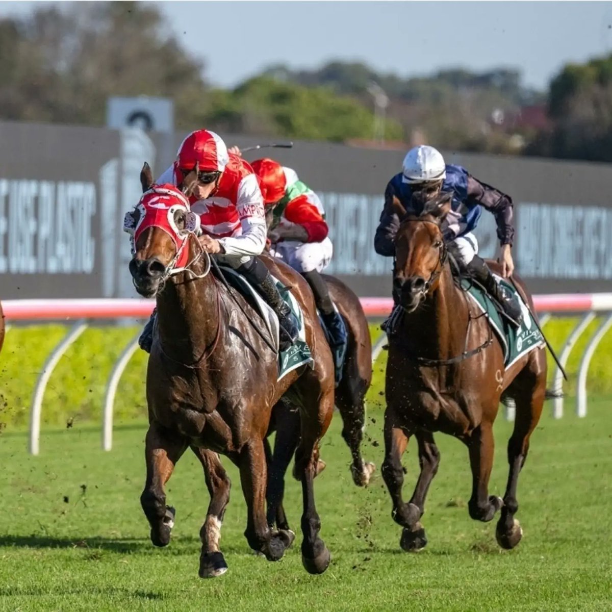 SeibRacing (@seibracing) on Twitter photo Two runners this afternoon <a href="/aus_turf_club/">Australian Turf Club</a> Royal Randwick for <a href="/ChampionTbreds/">Champion T'breds</a> and <a href="/RacingJJJ/">JJJ Racing</a>. Two runners this afternoon <a href="/aus_turf_club/">Australian Turf Club</a> Royal Randwick for <a href="/ChampionTbreds/">Champion T'breds</a> and <a href="/RacingJJJ/">JJJ Racing</a>.