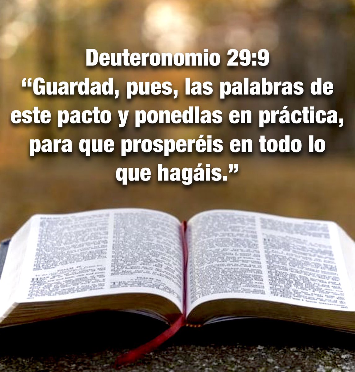 Carmenlop20's tweet photo. 2 Timoteo 3:16-17
"Toda la Escritura es inspirada por Dios, y útil para enseñar, para redargüir, para corregir, para instruir en justicia, a fin de que el hombre de Dios sea perfecto, enteramente preparado para toda buena obra." https://t.co/3pmc1LmUEW