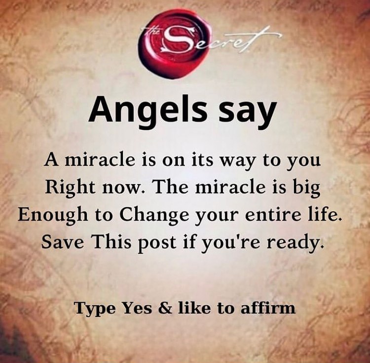 Inside Manifestation tweet media