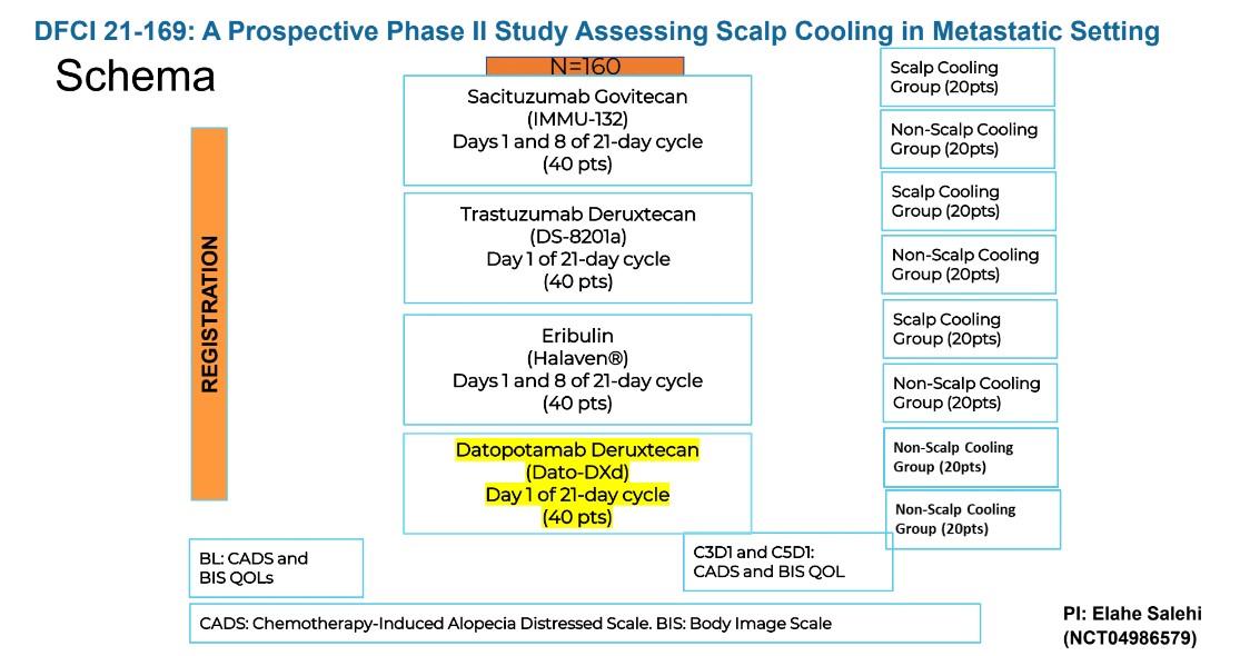 DFCI_BreastOnc's tweet image. Elahe Salehi, DNP, ANP-BC (@esalehiDNP) discussed the benefits of #ScalpCooling at the #HarvardBreastCancerCourse session on Supportive Care During Chemotherapy.  We currently have an open #ColdCap trial @DanaFarber ⬇️⬇️ 
  dana-farber.org/clinical-trial…