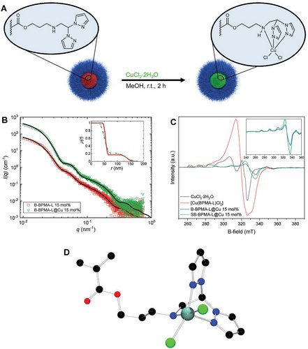 HerresLab's tweet photo. #Copper complexes anchored to #microgels show high activity in Henry reactions! Moreover, the microgels can be re-used several times! @SFB985 Thank you to all groups for the wonderful collaboration! 
https://t.co/mjvGEoRnae https://t.co/0BaGcyMiqu