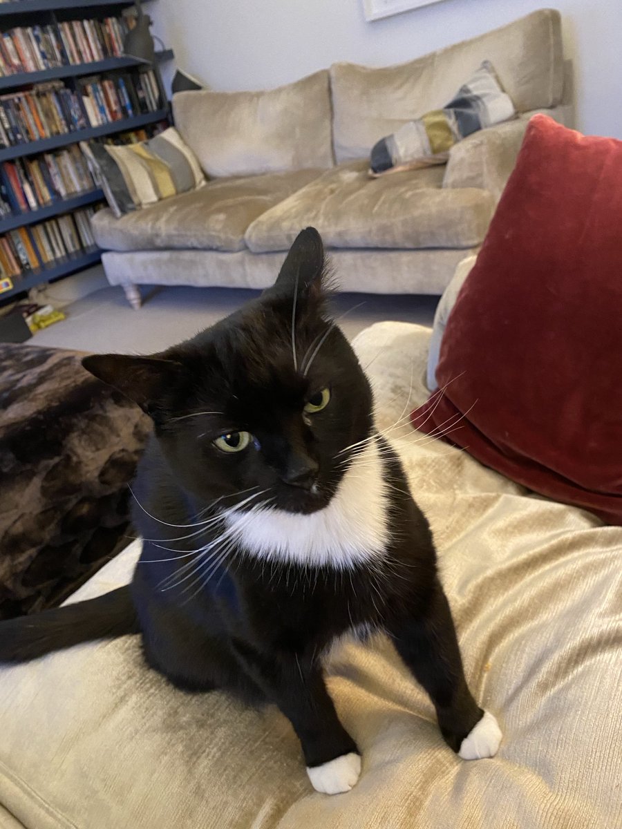 Mrs Growler 🌈 Rory tweet media