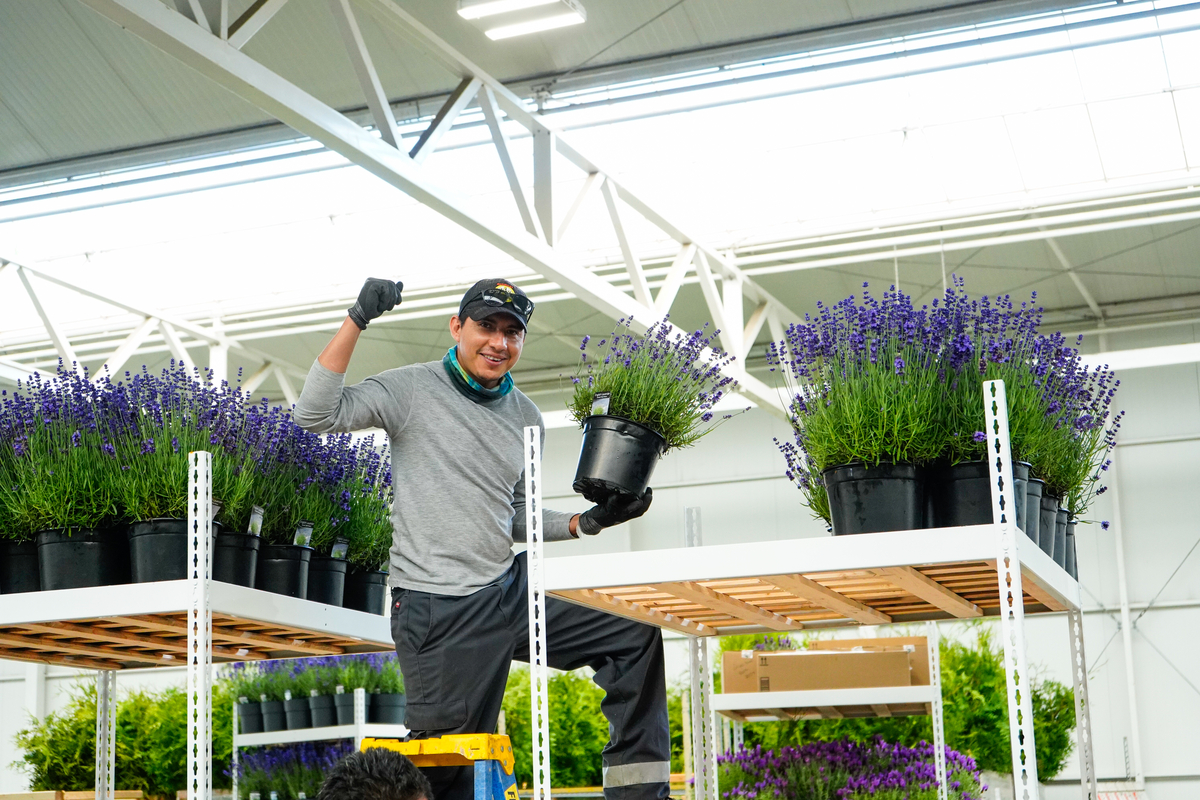 Qualitree tweet media