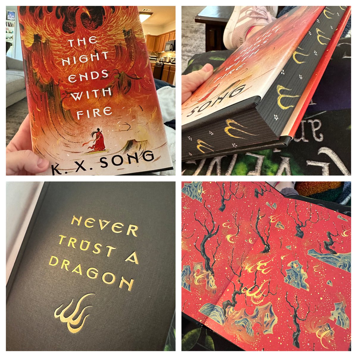 Started this yesterday. It is visually stunning, and the story hooked me from the first page! I can’t wait to follow Meilin’s journey! <a href="/ksongwrites/">k. x. song | 宋 晶 瑩</a> #thenightendswithfire #nevertrustadragon