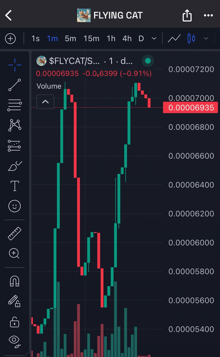FlyingCat__Sol's tweet photo. $FLYCAT has spread her wings 🪽Look at that reversal 🚀 https://t.co/Oc3fFORbLk