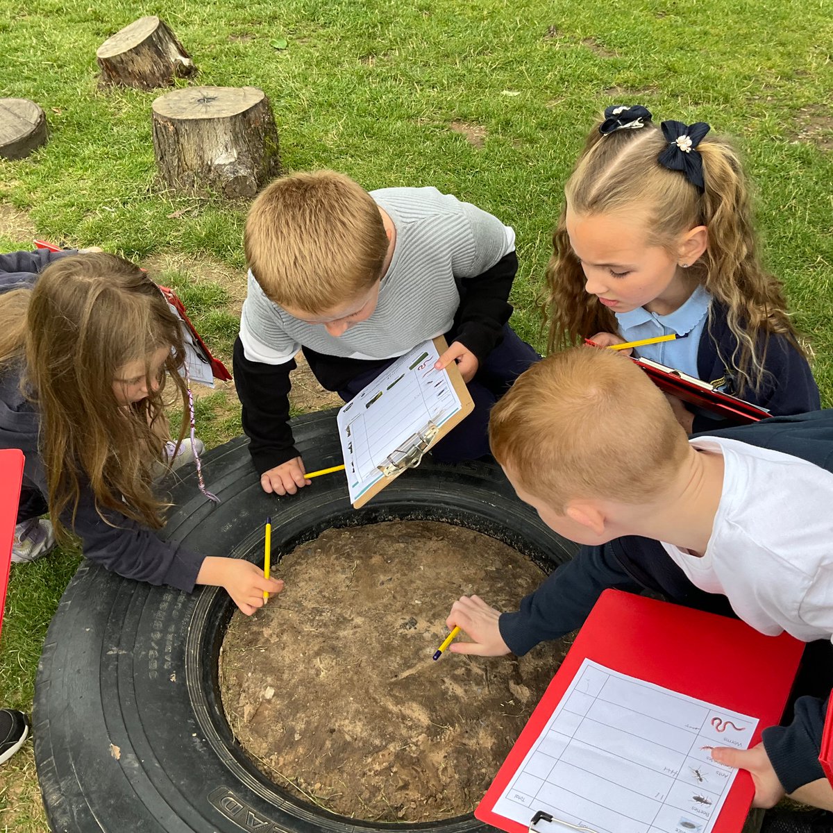 StBernardsep's tweet photo. Team 2 enjoyed searching for minbeasts in the different micro-habitats found in the school playground. #stBscience https://t.co/X0EnCI9u9K