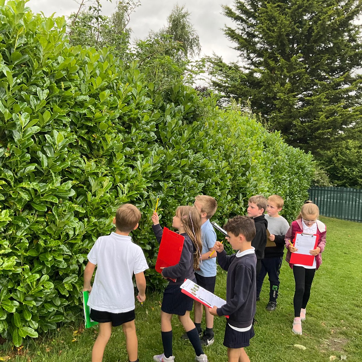 StBernardsep's tweet photo. Team 2 enjoyed searching for minbeasts in the different micro-habitats found in the school playground. #stBscience https://t.co/X0EnCI9u9K
