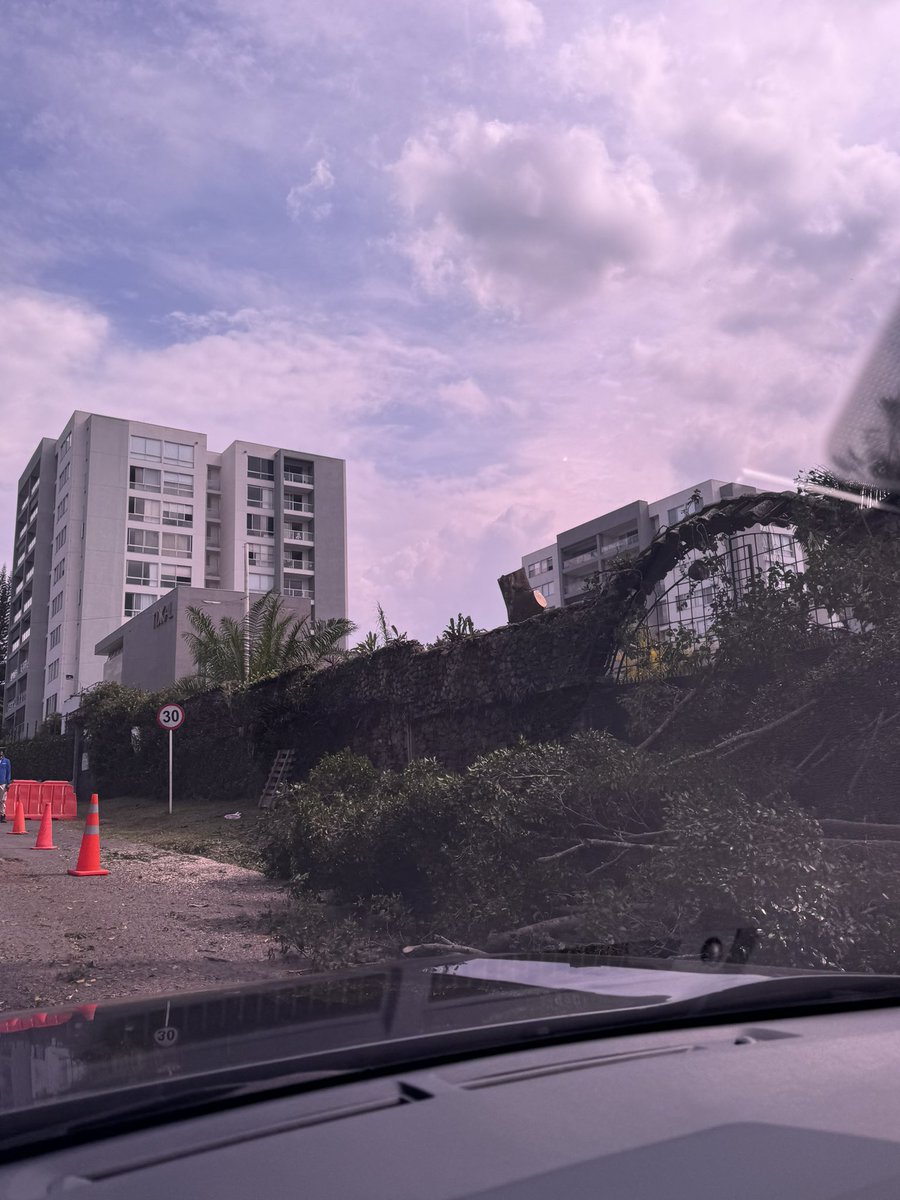 maferth81's tweet photo. Asi empieza #constructorabolivar su nuevo proyecto en ciudad jardin mutilando arboles. Que tristeza hasta cuando estas construcciones en la comuna 22 @AlcaldiaDeCali @DagmaOficial @jalcomuna22 @elpaiscali https://t.co/wnlhfWaRMP