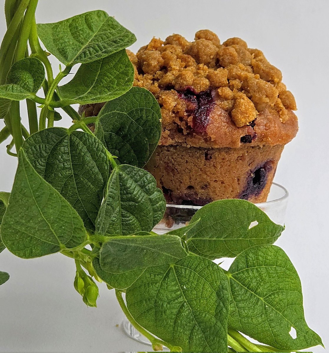 Pick this BLACKBERRY COBBLER CROPLET™ (v, gf) off the BEANSTALK! Just joking! Pick up a "crople" of your favorite seasonal classic desserts by CropEats <a href="/FRESHFARMDC/">FRESHFARM</a> <a href="/MVTCID/">MVT CID</a> and <a href="/FRESHFARMDupont/">FRESHFARMDupont</a> farmer's markets, this and every weekend! Come check us out! #cropeats #croplets
