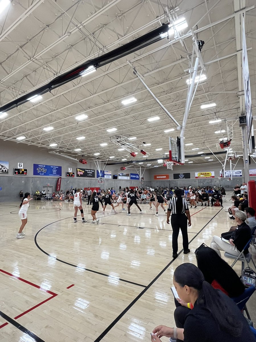 Premier Basketball tweet media