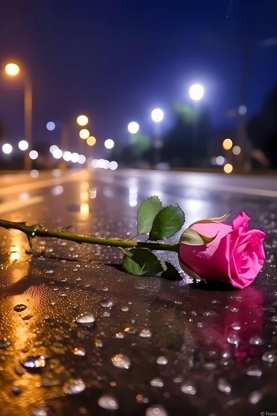 🌺🌼🌿🌼 Ǥ𝓻𝐚zɨa 🌼🌿🌼🌺 tweet media