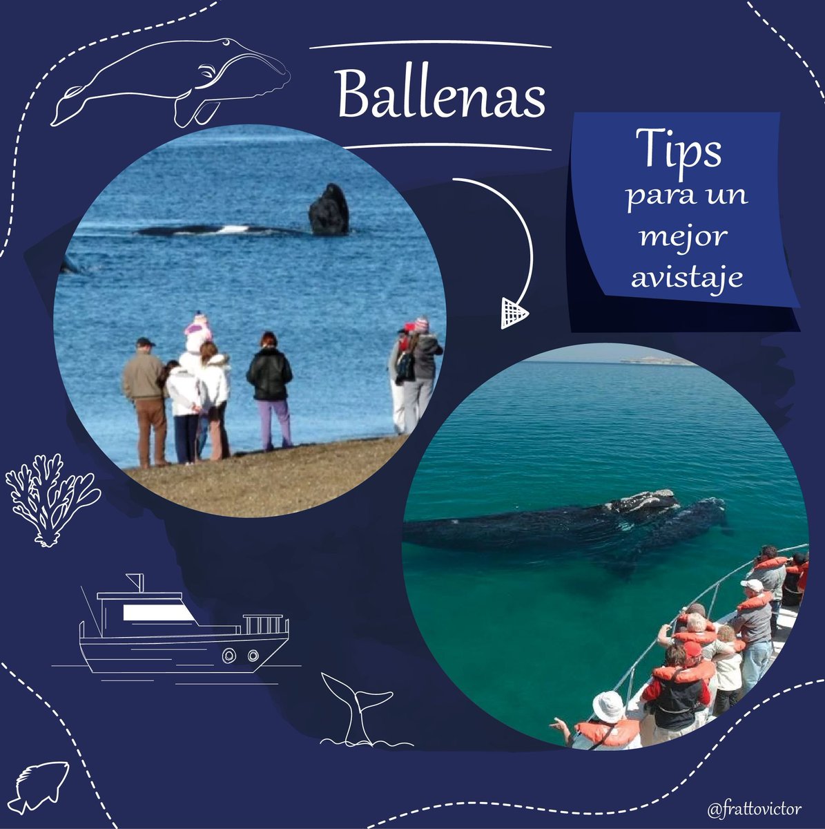 victorafratto's tweet photo. 🐋 Avistajes de ballenas únicos, desde la costa o embarcados.

🌊 Tené en cuenta estas recomendaciones para hacer el mejor avistaje y al mismo tiempo cuidar “el hogar de las ballenas”.

#chubut #chubutestuviaje #chubutpatagonia #puertopiramides #eldoradillo #peninsulavaldes https://t.co/61pCwinUda