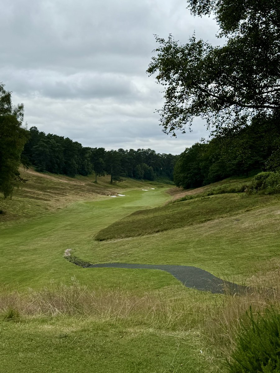 David Shepherd tweet media