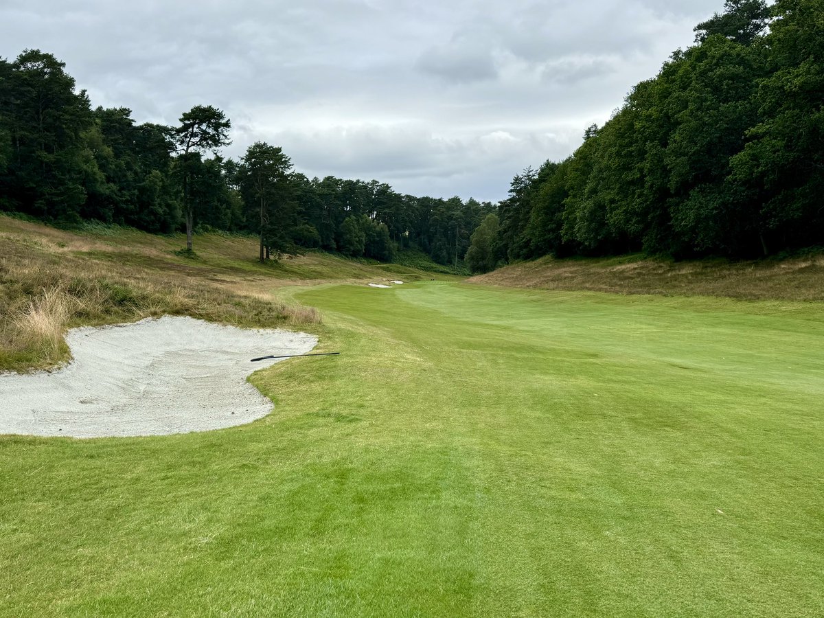 David Shepherd tweet media