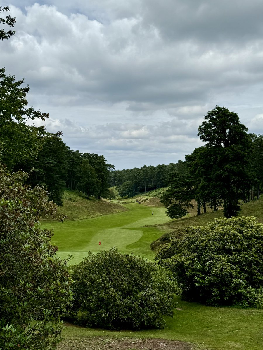 David Shepherd tweet media