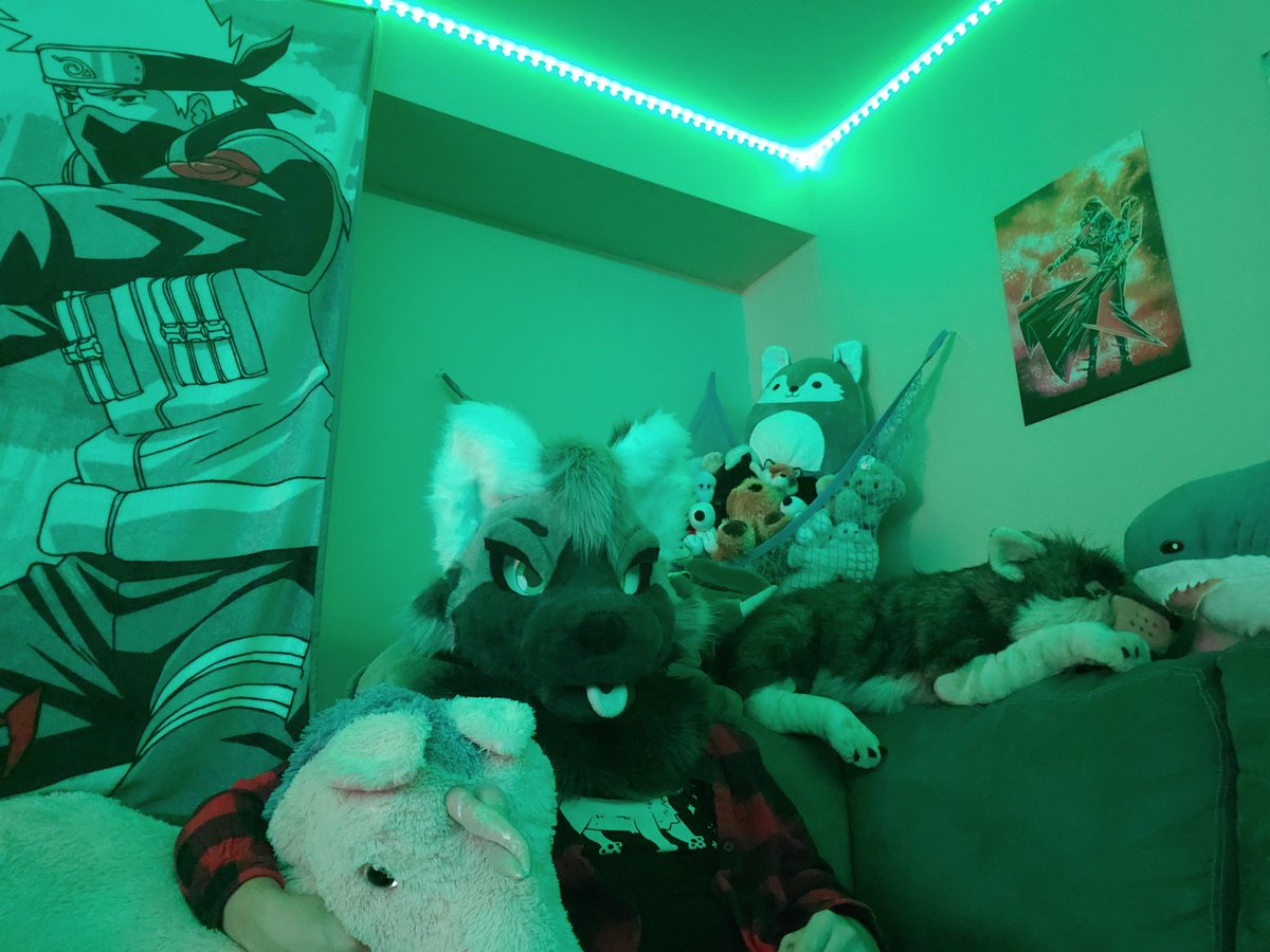 Axelthebigdog's tweet image. Did a little redecorating of the doggy den for this weeks #FursuitsFriday
🪡 @WilloWolfie1438
