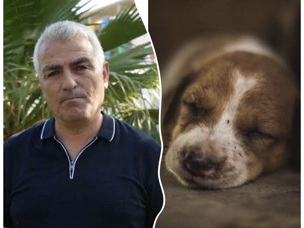 Emrahmixx's tweet photo. Soldaki,
Güvenli Sokaklar örgütünün lideri Murat Pınar Cins Köpek satacak Diye,,,
Sağdaki Masum ölecek öylemi❓
SKTİRİN LAN❗️❗️❗️
Sizin Firavun Zihniyetinize Tek bir canımızı bile Kurban vermeyeceğiz.
#SokakHayvanlariSahipsizDegildir #YasayiGeriCek https://t.co/0LTjcA4tFn