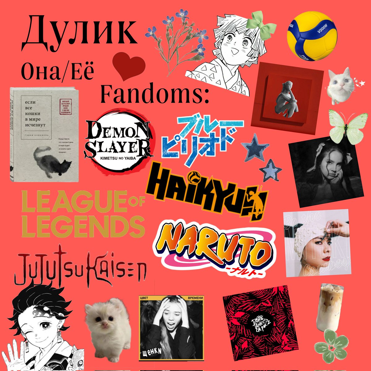 volbiclavi's tweet photo. #поискмью
в честь моего очередного возвращения в твиттер хочу найти новых мьюшечек, всем буду очень рада! мью, пожалуйста, рт🥰 https://t.co/Uq4Da3YYOQ