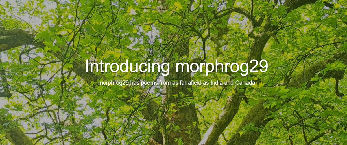 The latest issue of our online journal <a href="/morphrog/">morphrog</a> has been published. It features poems and prose by Sanjeev Sethi, Michael Bartholomew-Biggs, James Owens, J.S. Watts, Tom Barwell, John Short and Gordon Scapens.
frogmorepress.co.uk/uncategorized/…