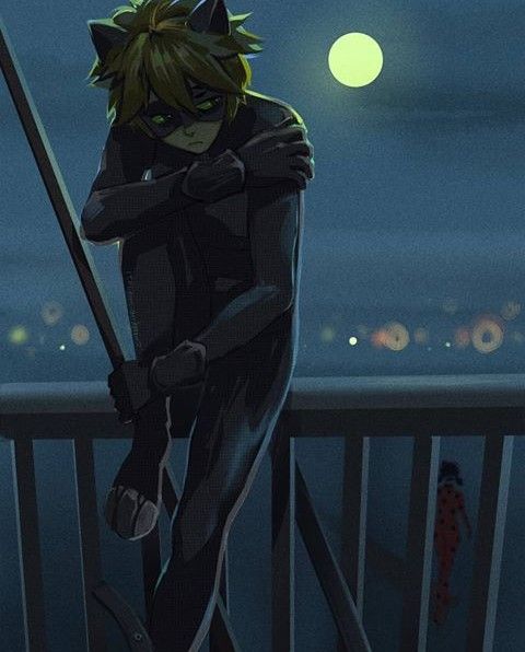 🖤😺
"I wish I could tell <a href="/_LadyBug_M/">❥ℳ𝒜ℛℐ𝒩ℰ𝒯𝒯ℰ ᵈᵘᵖᵃⁱⁿ-ᶜʰᵉⁿᵍ ༄</a> who I really am under the masks-"

🖤😿
Sighs
