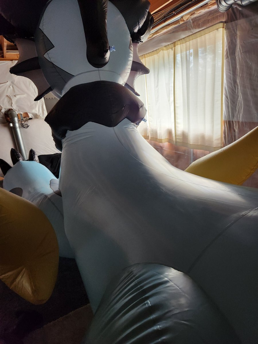 Kaiser @ home tweet media