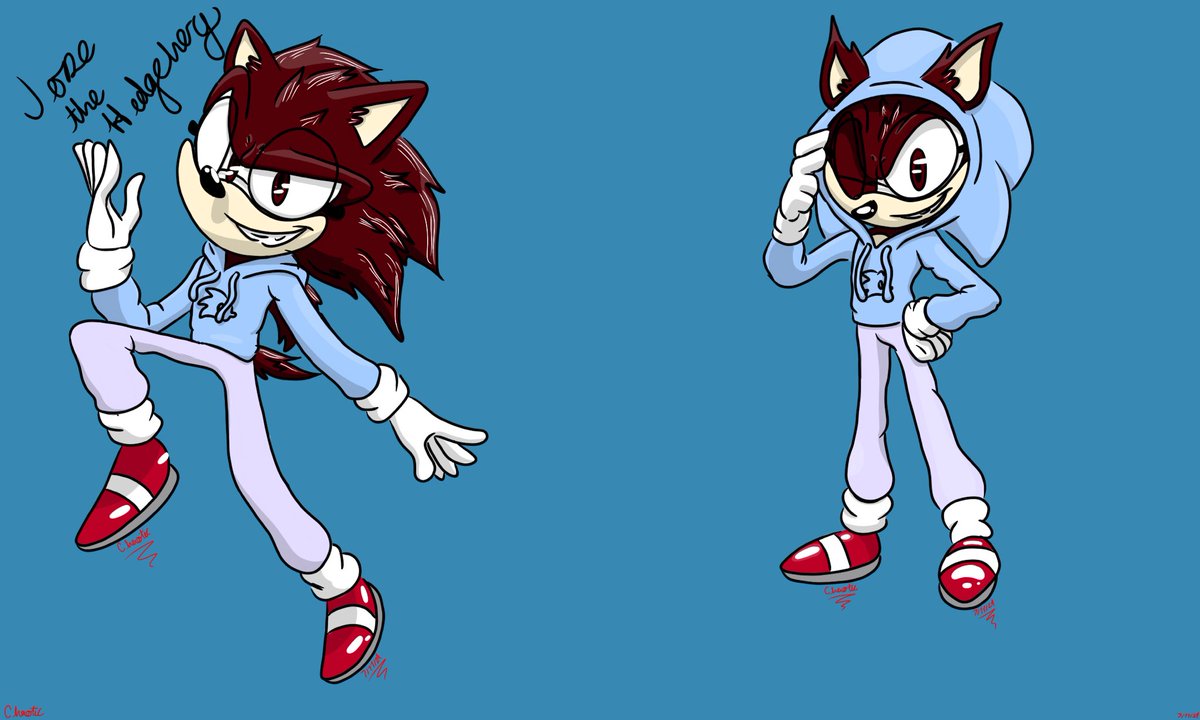 zaythehedgehog's tweet photo. @MarkRamblePrism I commission someone to do my sonic oc https://t.co/39ASyq9xmr