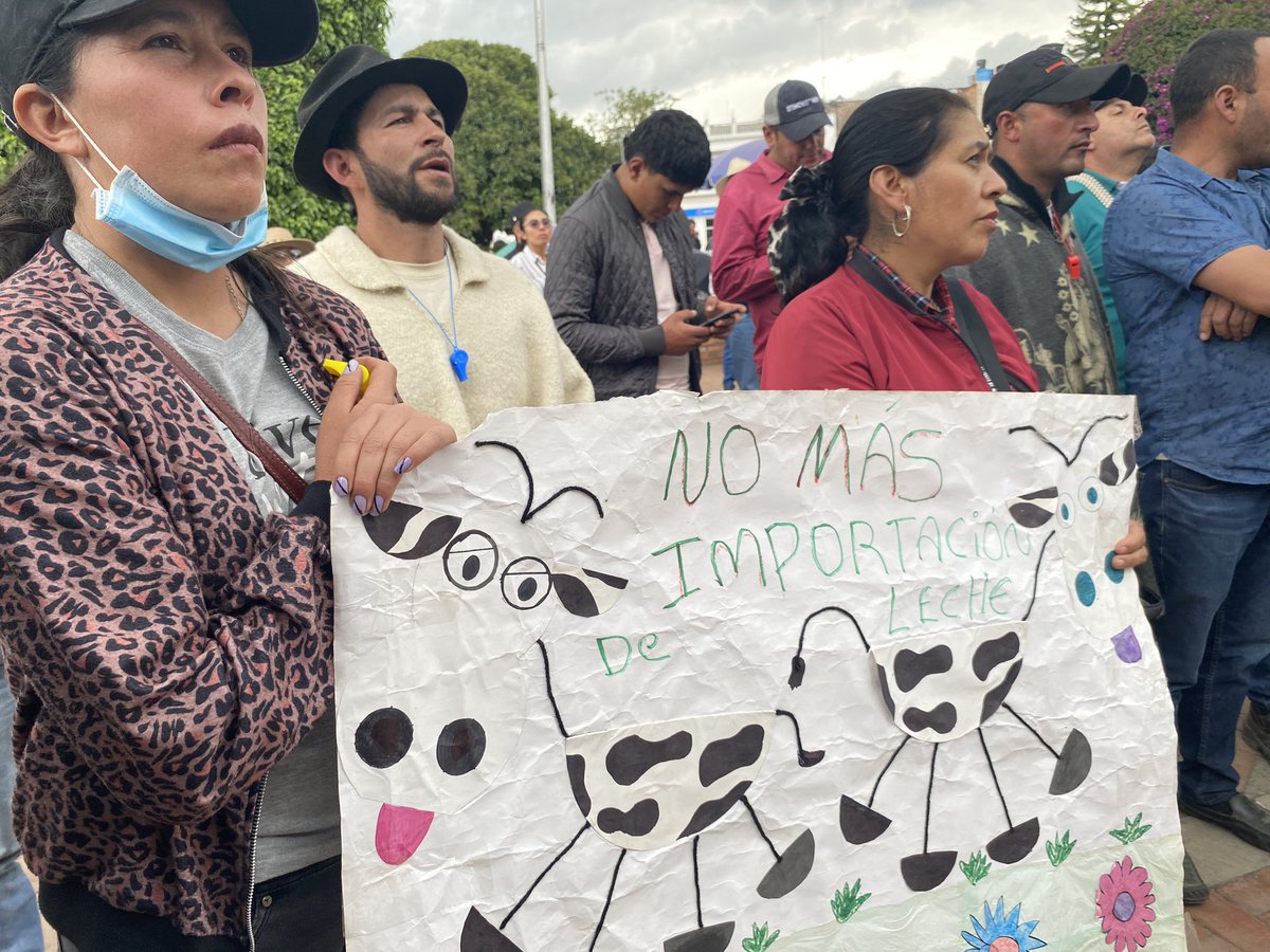 JERobledo's tweet photo. Hoy en Chiquinquirá, airado reclamo de los lecheros  por el bajo precio de compra de la leche y porque las industrias procesadoras anunciaron que NO les comprarán más leche en los municipios de Saboyá, Maripí, Buena Vista, Briceño, Caldas, Simijaca, Susa, Fúquene y Guachetá, arruinándolos.
El gobierno de @petrogustavo debe
impedir la ruina de esos campesinos y pequeños empresarios, además víctimas de las importaciones de leche.