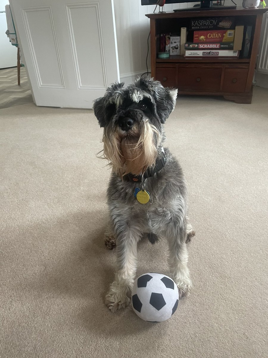This is the face my boyfriend made when announcing he’s off to Germany tomorrow… ⚽️