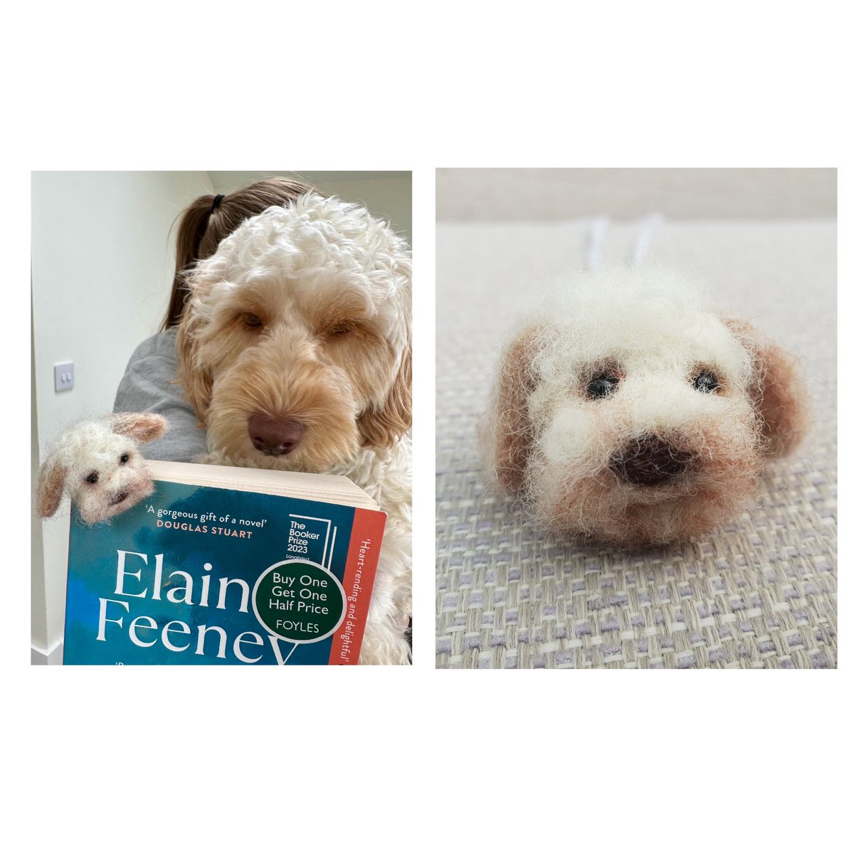 RockingFelter's tweet photo. Good evening,
Thrilled to share this beautiful photo I received from my lovely customer! So happy to say they were very pleased with their Cavapoochon bookmark.
Thank you β€οΈ
https://t.co/f6rSoNYpy9
#etsy #book #dogsofx #cavapoochon #firsttmaster #BookCommunity https://t.co/s7mSLLEGES