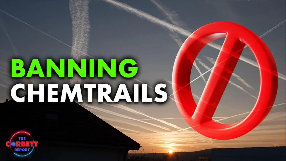 OffGuardian0's tweet image. WATCH: Banning Chemtrails – #SolutionsWatch off-guardian.org/2024/07/12/wat…