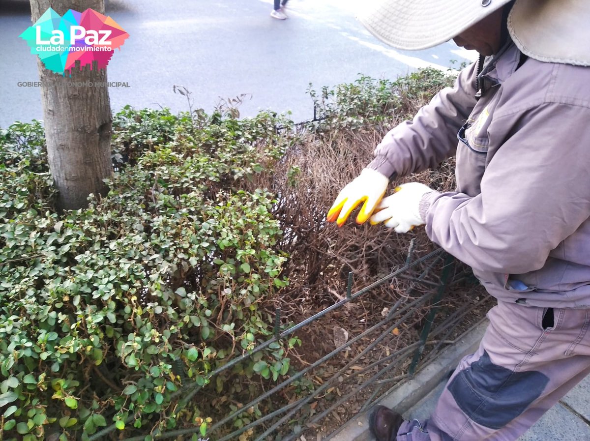 Subalcaldía Centro GAMLP tweet media