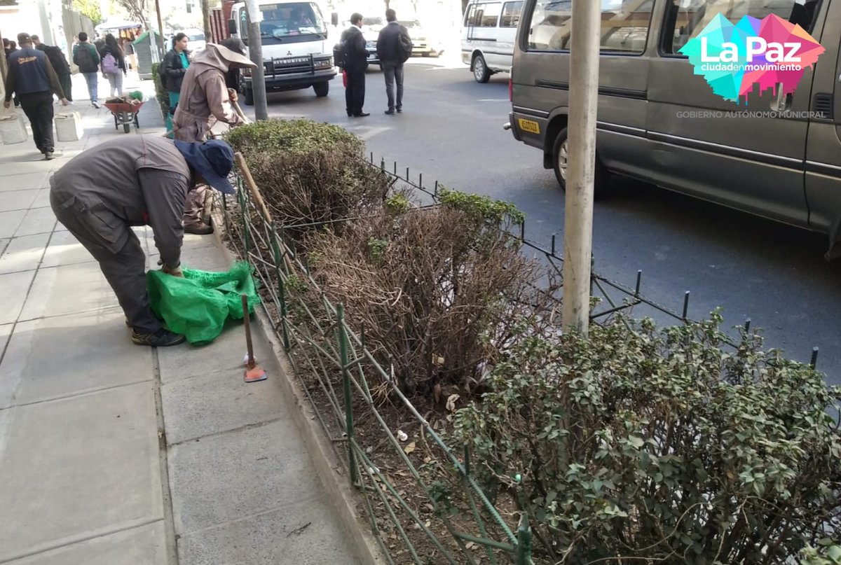 Subalcaldía Centro GAMLP tweet media