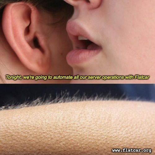flatcar's tweet photo. thrill your partner with an evening of server automation #flatcar #containerlinux #mememonday https://t.co/M0xBq22AQ7