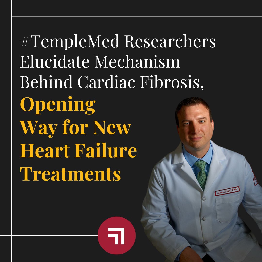 Lewis Katz School of Medicine (@katztemplemed) on Twitter photo #TempleMed scientists led by Dr. John Elrod have discovered a critical genetic mechanism driving the process of cardiac fibrosis — and identified a novel target for reversing it. Learn more about their findings at medicine.temple.edu/news/researche… <a href="/TheElrodLab/">Elrod Lab</a> <a href="/acdc_temple/">Aging + Cardiovascular Discovery Center</a> #TempleMed scientists led by Dr. John Elrod have discovered a critical genetic mechanism driving the process of cardiac fibrosis — and identified a novel target for reversing it. Learn more about their findings at medicine.temple.edu/news/researche… <a href="/TheElrodLab/">Elrod Lab</a> <a href="/acdc_temple/">Aging + Cardiovascular Discovery Center</a>