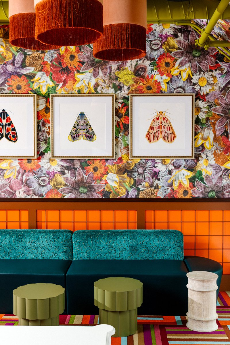 FrankMataipule's tweet photo. Excited to share a few prof photos of Jaguar Bolera in #RaleighNC which opened May 18th.

Design inspired by Grandma at your age: loves flowers, statement brooches, jaguar print, and her parakeets, Martini &amp; Olive. Never misses a garden cocktail with friends. #interiordesign https://t.co/hHY2QU9L0V