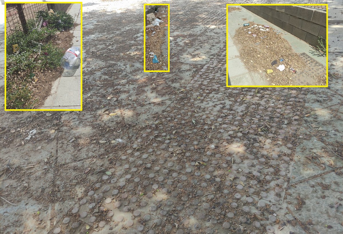 JMROMANGARCIA's tweet photo. #Almería, detalles: un sinvivir en medio de una auténtica polvareda. La Goleta. Calles Árbol del Amor y Galán de Noche. Insufrible. La polvareda de la obra aledaña, la falta de limpieza municipal y los daños en jardinería, vehículos, piscinas, portales, etc.
@aytoalm @AUrdiales1 https://t.co/5YIXujjeYX