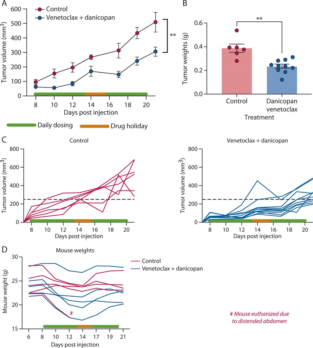 Inhibition of genes elevated in patients with early onset CRC decreases tumor burden in a mouse model. Read more in this month's #DCRJournal: bit.ly/4bXOvlt

<a href="/JohnRTMonsonMD/">John Monson MD FRCS FACS FASCRS</a> <a href="/jendavidsmd/">Jennifer Davids, MD</a> <a href="/ScottRSteeleMD/">Scott R. Steele</a> @Swexner <a href="/me4_so/">SoMe4Surgery</a> <a href="/ACPGBI/">@ACPGBI</a> <a href="/drtracyhull/">Tracy Hull</a> <a href="/ASCRS_1/">ASCRS_1</a>