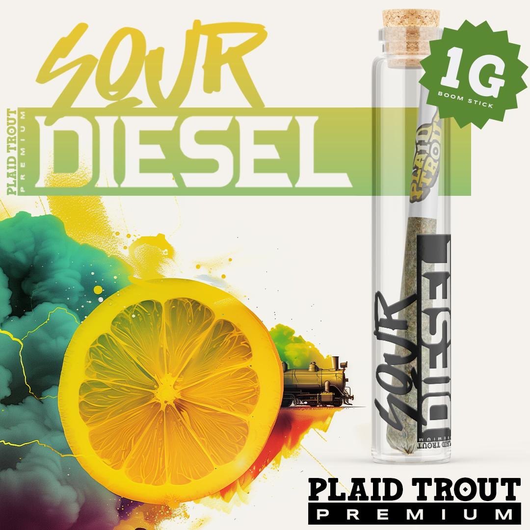 plaidtrout's tweet photo. Sour Diesel smashes like a friggin’ freight train, bringin’ on the ultimate happy heaviness when ya need to wrestle down your restless mind. Imagine the smell of diesel, but after chowin’ an entire fruit orchard; a dense lemony fog explosion that’ll keep dancing across your lips. https://t.co/H85oN9QlGt